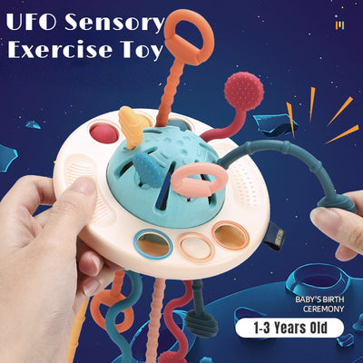 Sensory Development Baby Toys - Hamod Baby